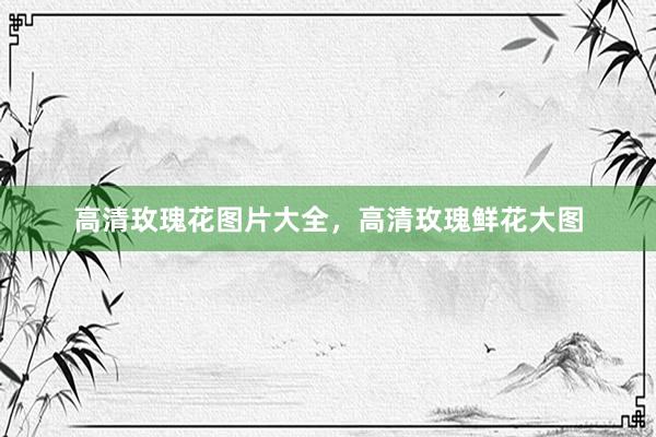 高清玫瑰花图片大全，高清玫瑰鲜花大图