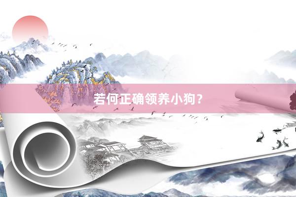 若何正确领养小狗？